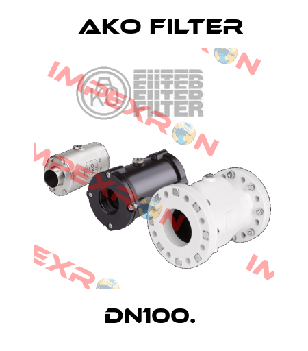 DN100.  Ako Filter