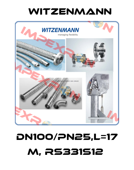 DN100/PN25,L=17 M, RS331S12  Witzenmann