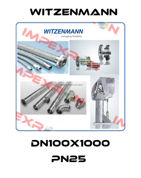 DN100X1000 PN25  Witzenmann