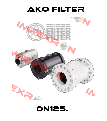 DN125.  Ako Filter