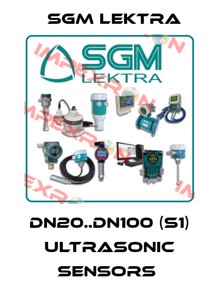 DN20..DN100 (S1) ULTRASONIC SENSORS  Sgm Lektra