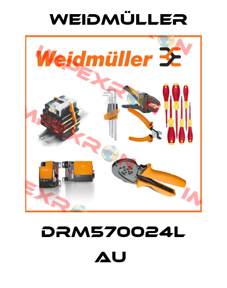 DRM570024L AU  Weidmüller