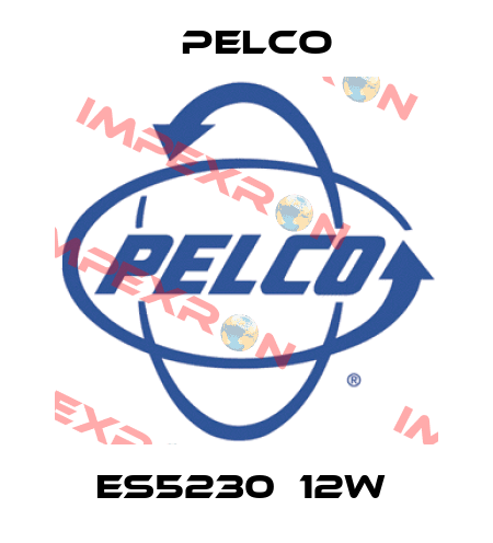 ES5230‐12W  Pelco