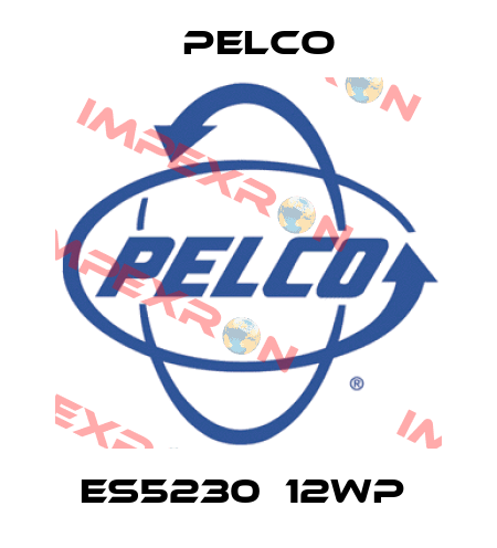 ES5230‐12WP  Pelco