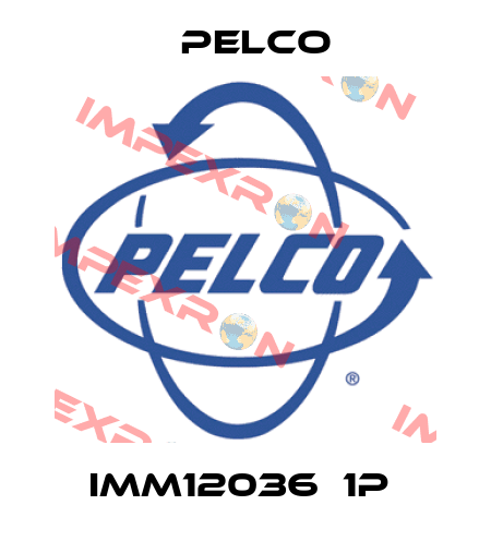 IMM12036‐1P  Pelco