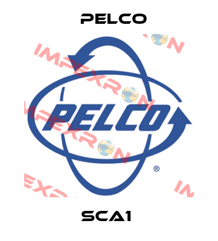 SCA1  Pelco
