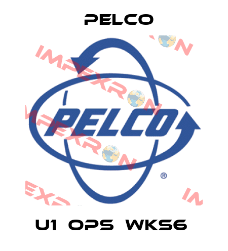 U1‐OPS‐WKS6  Pelco