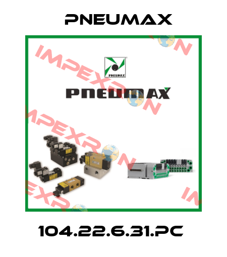 104.22.6.31.PC  Pneumax