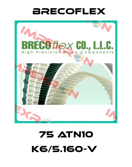 75 ATN10 K6/5.160-V  Brecoflex