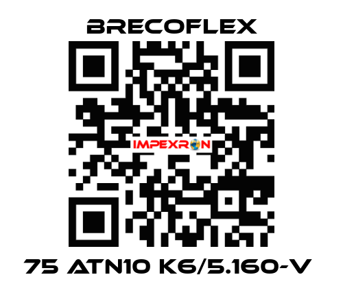 75 ATN10 K6/5.160-V  Brecoflex