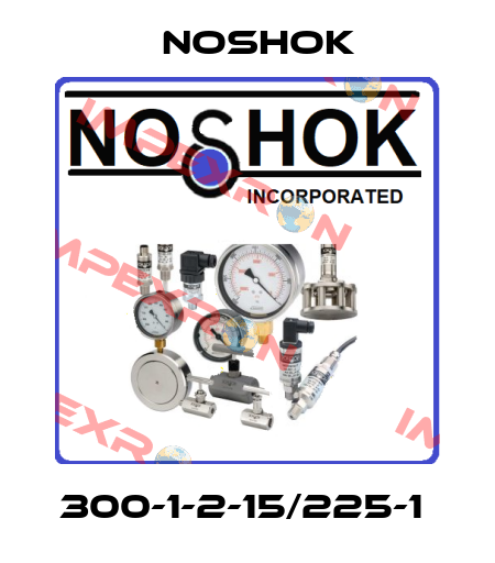300-1-2-15/225-1  Noshok