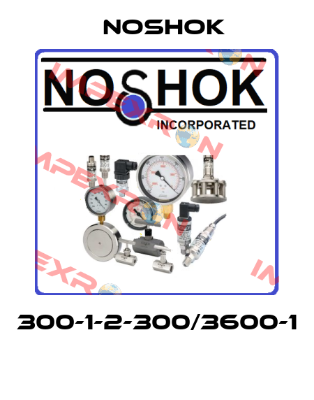 300-1-2-300/3600-1  Noshok