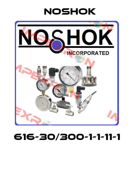 616-30/300-1-1-11-1  Noshok