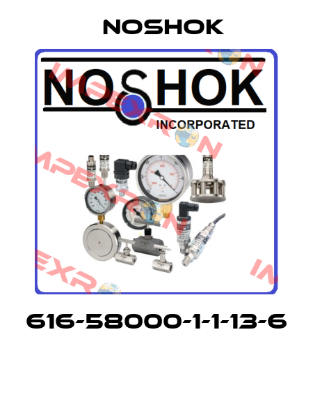 616-58000-1-1-13-6  Noshok