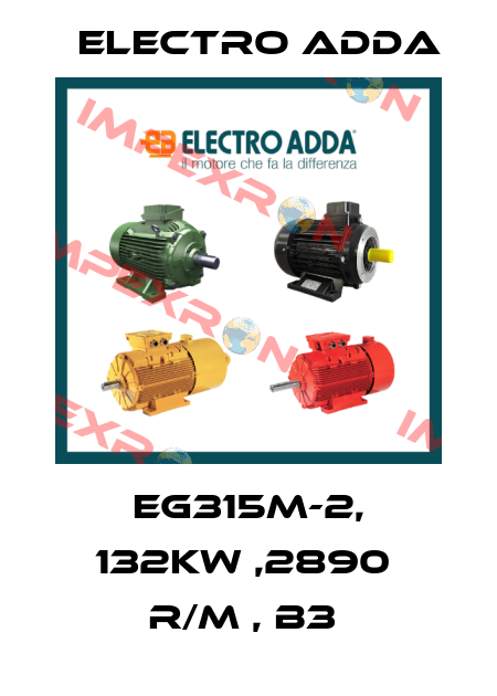 EG315M-2, 132KW ,2890  R/M , B3  Electro Adda