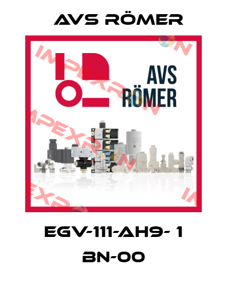 EGV-111-AH9- 1 BN-00 Avs Römer