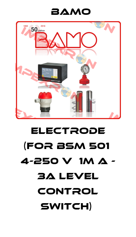 ELECTRODE (FOR BSM 501  4-250 V  1M A - 3A LEVEL CONTROL SWITCH)  Bamo
