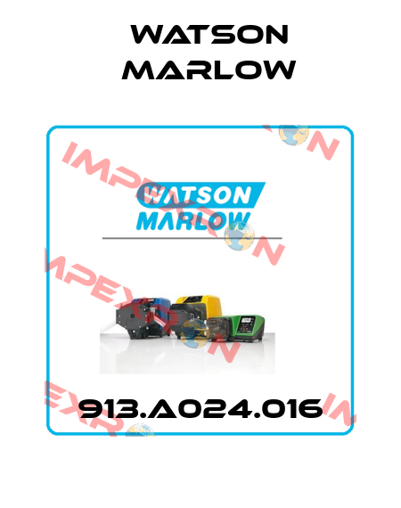 913.A024.016 Watson Marlow