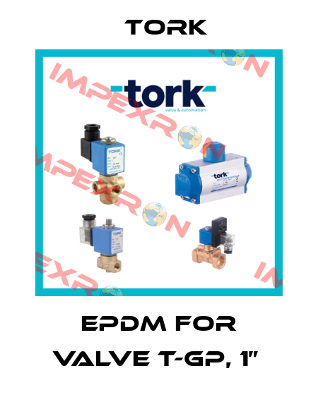 EPDM FOR VALVE T-GP, 1”  Tork