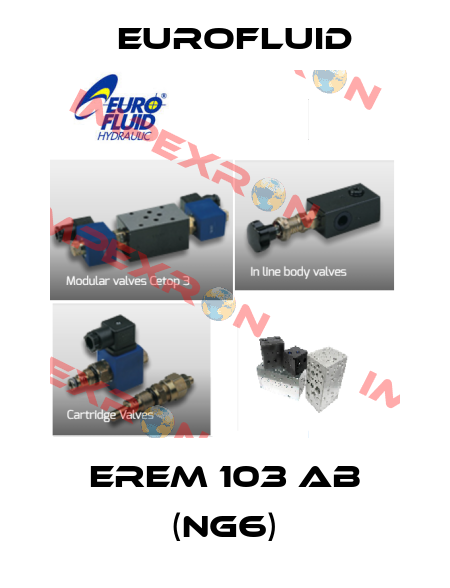 EREM 103 AB (NG6) Eurofluid