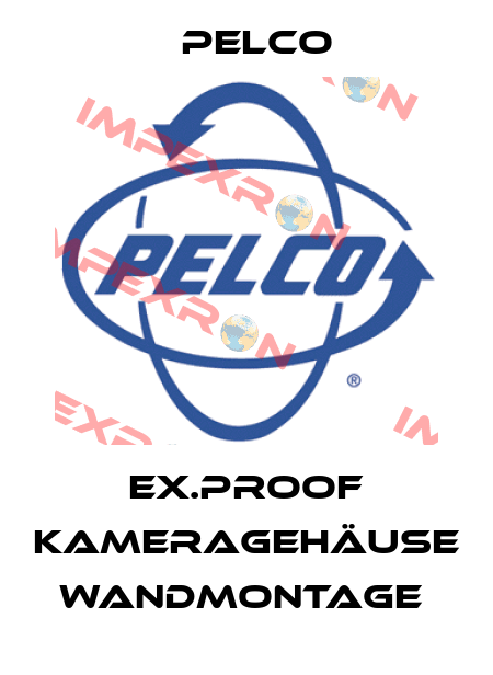 EX.PROOF KAMERAGEHÄUSE WANDMONTAGE  Pelco
