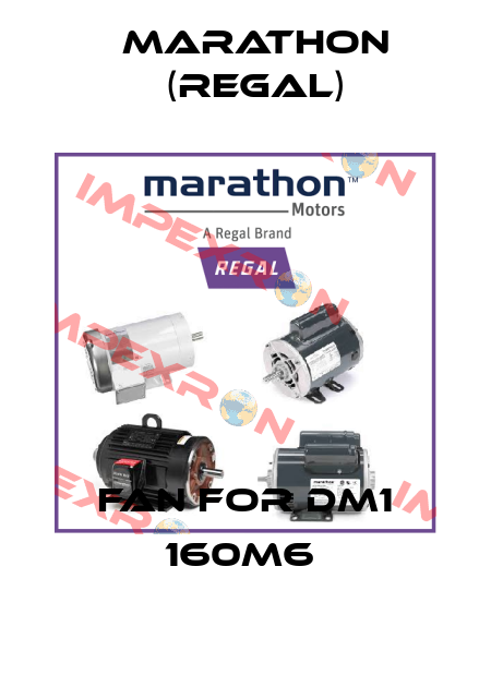 FAN FOR DM1 160M6  Marathon (Regal)