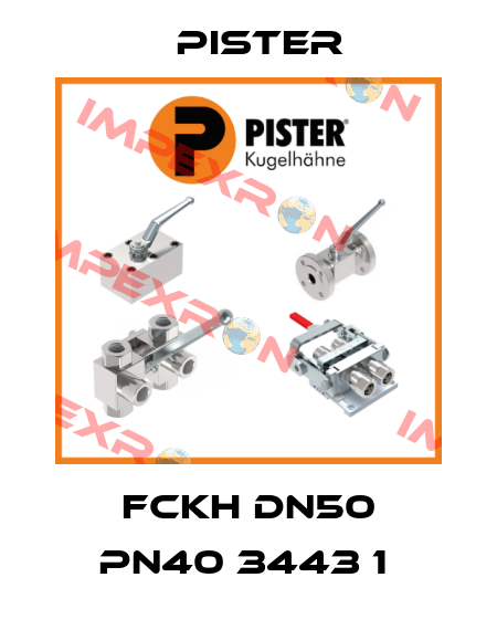 FCKH DN50 PN40 3443 1  Pister