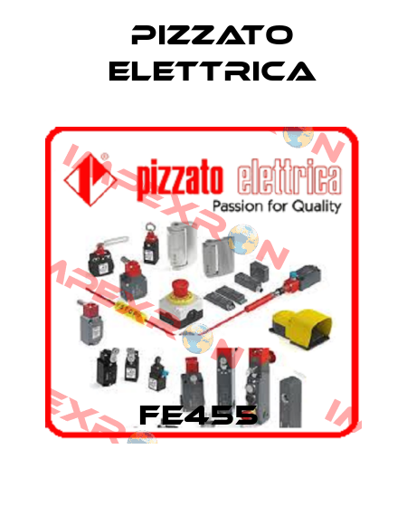 FE455  Pizzato Elettrica