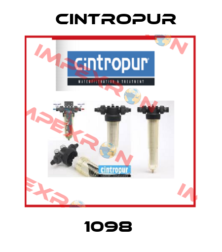 1098  Cintropur