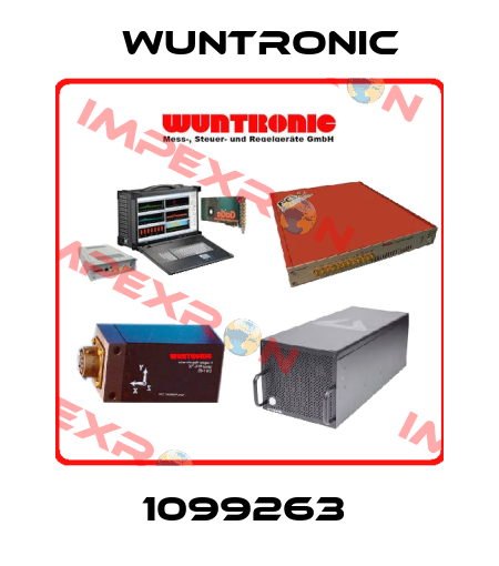 1099263  Wuntronic