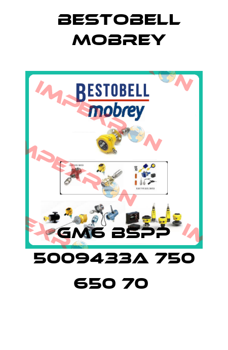 GM6 BSPP 5009433A 750 650 70  Bestobell Mobrey