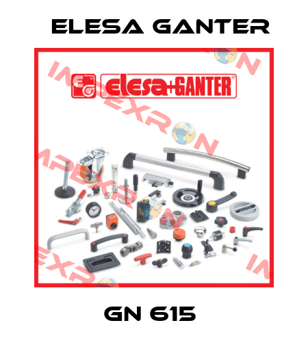 GN 615  Elesa Ganter