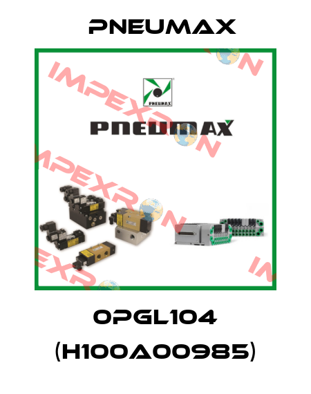 H100A00985  Pneumax