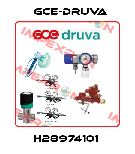 H28974101  Gce-Druva