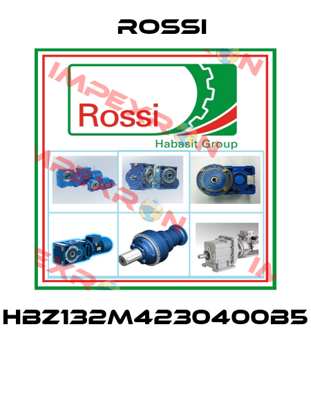 HBZ132M4230400B5  Rossi