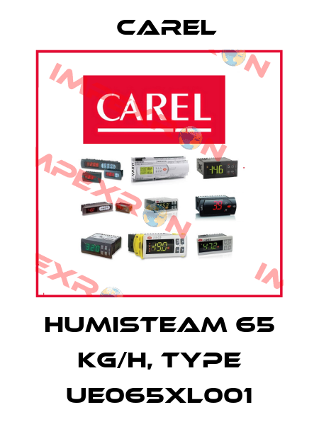 HumiSteam 65 kg/h, Type UE065XL001 Carel