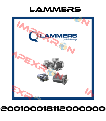 02001000181120000000 Lammers