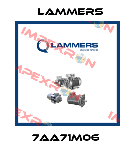 7AA71M06  Lammers