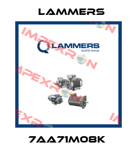 7AA71M08k  Lammers