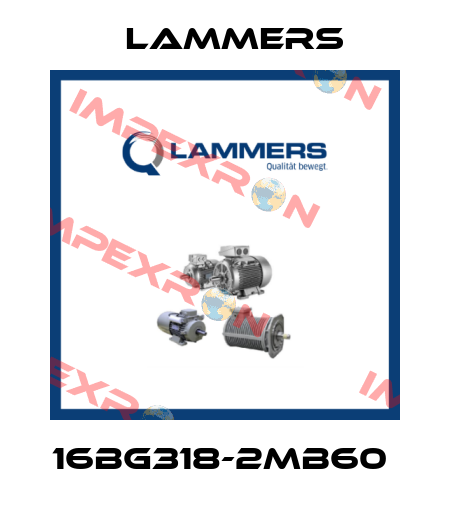 16BG318-2MB60  Lammers