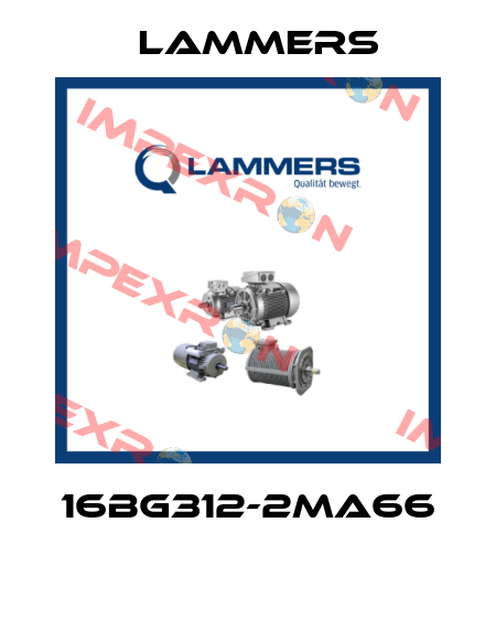 16BG312-2MA66  Lammers