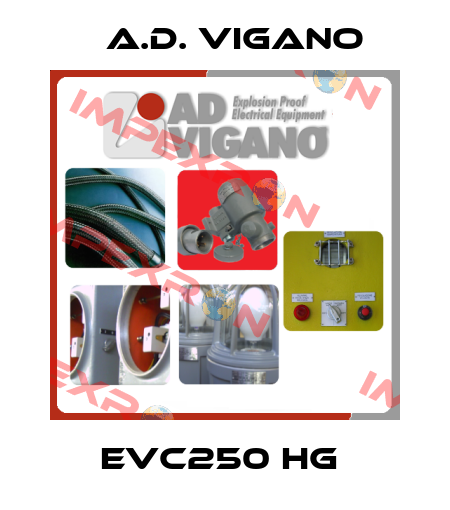 EVC250 HG  A.D. VIGANO