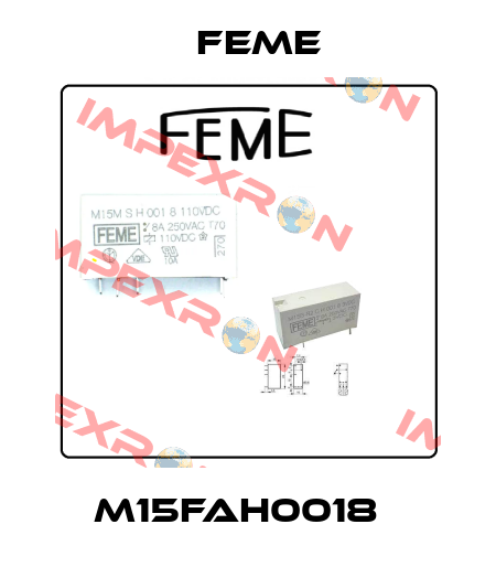 M15FAH0018   Feme