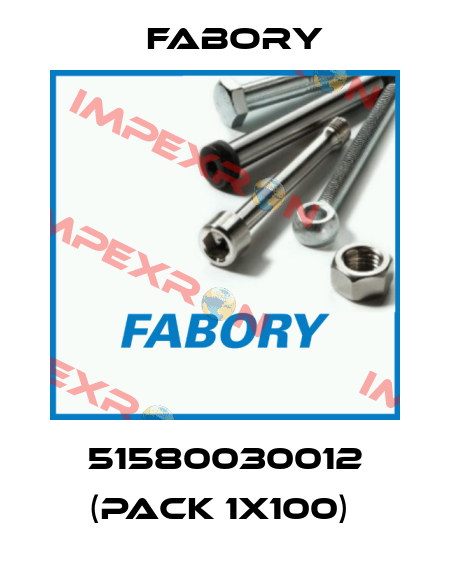 51580030012 (pack 1x100)  Fabory