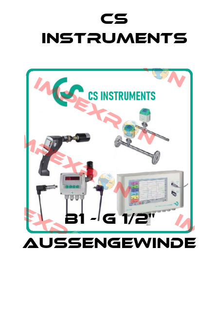 B1 - G 1/2" Außengewinde  Cs Instruments