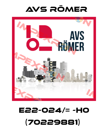 E22-024/= -H0 (70229881)  Avs Römer