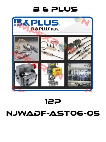 12P NJWADF-AST06-05  B & PLUS