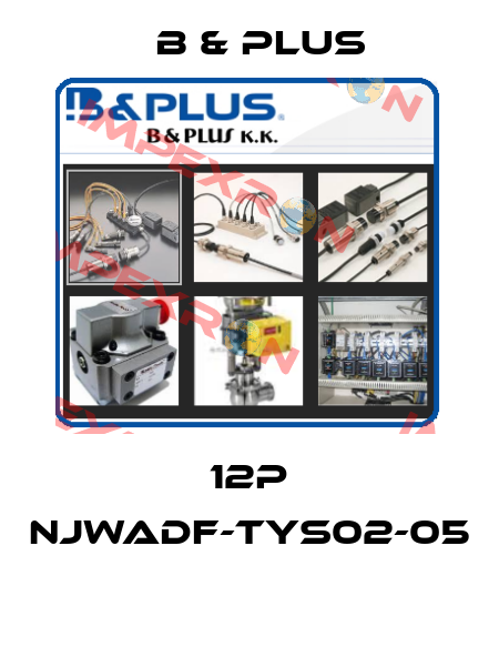 12P NJWADF-TYS02-05  B & PLUS