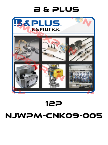12P NJWPM-CNK09-005  B & PLUS