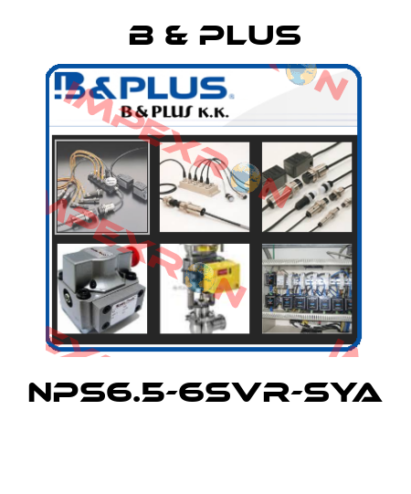 NPS6.5-6SVR-SYA  B & PLUS